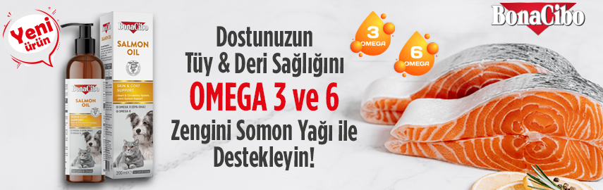 BonaCibo Salmon Oil Kedi ve Köpekler için Somon Yağı