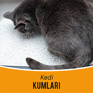 Kedi Kumu