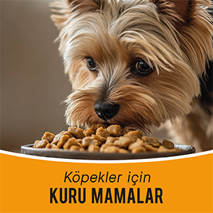 köpek maması