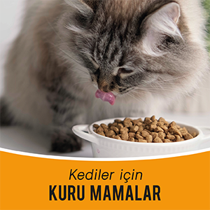 kedi maması